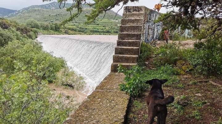 Ríos y presas de Hidalgo sin riesgo de desbordamiento