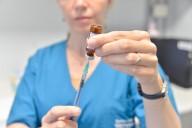 Alerta por Fiebre Hemorrágica: Recomiendan vacunarse en Olavarría