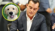 Eliminan en García la palabra 'perrera' para procurar el cuidado animal