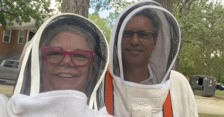 What I learned helping a Louisiana beekeeper save a hive in midair: Scaffolding, smoke, more