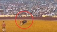 Murió joven torero tras ser embestido en plena corrida; video causó terror en redes sociales