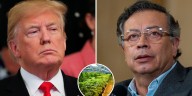 Colombia podría perder $1.000 millones al año si EE. UU. la descertifica por incumplir metas en lucha contra el narcotráfico