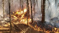 Maine wildfires: State sees highest number of August fires in two decades