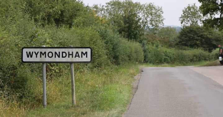 Runaway tortoise found three miles away from home a month later