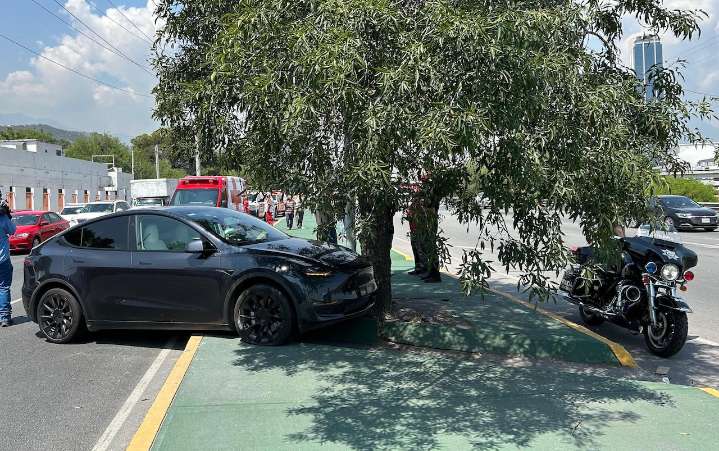Choca conductora Tesla contra árbol en Morones Prieto