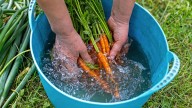 Ditch The Vinegar When Washing The Produce From Your Garden & Try This Instead