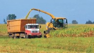 Estabilidad económica en la inversión en tecnología agrícola: “Los productores se animan a mucho más”