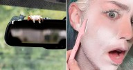 Weird Sh*t Under $25 On Amazon That We're Loving Right Now