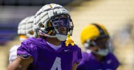Many of LSU football's new transfers will start. Here's a breakdown of their projected roles.
