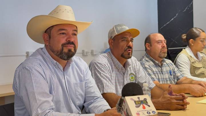 Refuerza acciones de sanidad y control de plagas