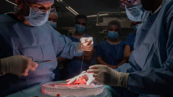 Realizado el primer trasplante de pulmón de cerdo a un humano en muerte cerebral