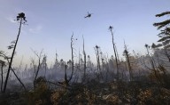 Halifax wildfire was human caused, N.S. government confirms