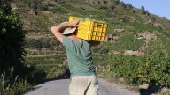 El temporero fallecido en Alcarràs sufrió 'estrés por calor', según confirma la autopsia