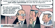 Asesoramiento especializado