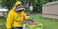Illinois beekeepers battle losses, costs to keep hives buzzing