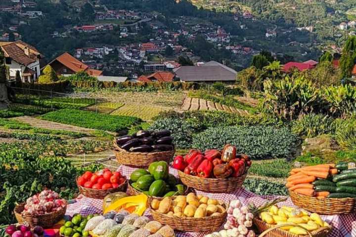 Realizan asamblea para fortalecer producción de hortalizas y frutas en Miranda