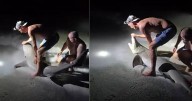 De la foto al susto: Tiburón muerde a pescador en Florida y lo manda al hospital