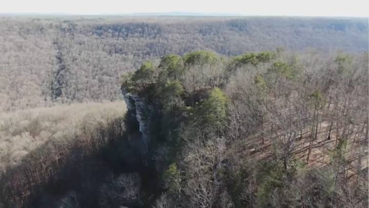 Hiker dies after venomous bite from 'most dangerous' snake in Tennessee