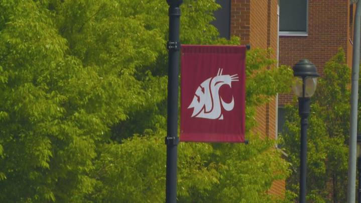 Police determine WSU shooter threat was hoax
