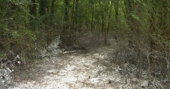 Williamson County issues fines after raw sewage spill into Harpeth River