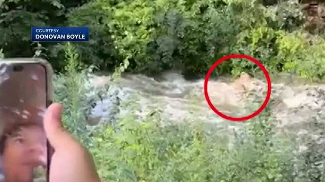 With help from good Samaritans, crew pulls father, son from river