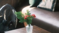 Decoración monocromática sin aburrimiento: 5 claves para que tus espacios luzcan sofisticados y con un guiño vintage de abuela