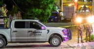 EU actualiza alerta de viaje a México por violencia terrorista