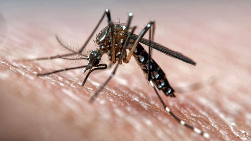 Monthly Ivermectin Cuts Malaria Incidence in Endemic Area