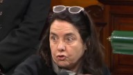 "No creo que los niños tengan derecho a ser curados en el Garrahan": polémica frase de una senadora