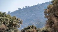 La Junta no prevé dar por extinguido el incendio de Jarilla hasta finales de septiembre