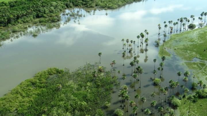 Corporinoquia tiene como prioridad la protección, conservación y recuperación de las cuencas y microcuencas hidrográficas