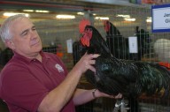 Today’s obituary: John Pierce, 81, was a teacher and superintendent at NYS Fair’s Poultry Building