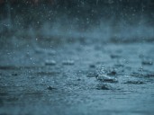 Clima hoy en Tucson, Estados Unidos: el pronóstico del tiempo para este viernes 15 agosto de 2025