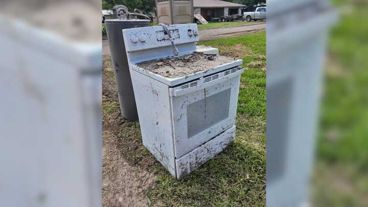 Texas Cleanup Crew Was Shocked To Find A Fluffy Animal Hiding In An Oven After The Flood