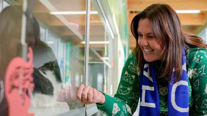 Hot Love the kitten is Kitty Corner's 100th adoption in Iowa City