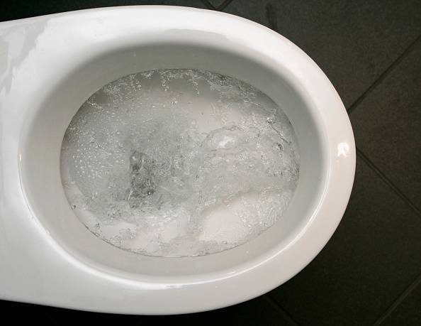 Are Toilet Seat Liners Totally Pointless?