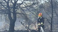Un experto explica el motivo oculto por el qué está habiendo tantos incendios en España: “Es realmente aterrador”