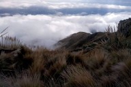 Cómo estará el clima este fin de semana largo en San Luis