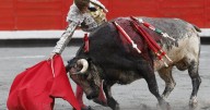 Borja Jiménez indulta a un toro de La Quinta en Bilbao