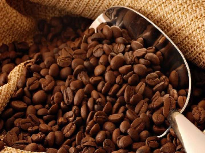 Exportación de café genera ingresos por 30 millones de dólares anuales