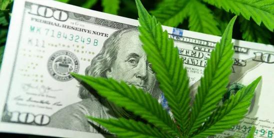 Getting in the Weeds on Managing Cannabis Operations Risks Through Insurance