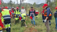 Ayuda Capstone Copper en reforestación de Bufa