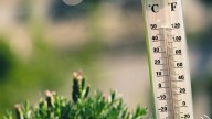 2 daily temperature records broken as heat advisories remain for Vancouver Island