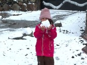 Nieve en Romeral
