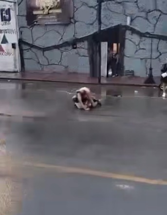 Riña entre dos jóvenes afuera del antro “Ocho Segundos” a plena luz del día