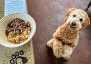 It's 'treat o'clock' somewhere, especially on National Dog Day