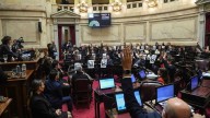 Senado: la oposición busca dictaminar hoy sobre el financiamiento a universidades y al Garrahan
