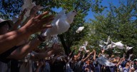 Japan marks 80th anniversary of WWII surrender as concern grows about fading memory