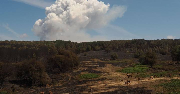 ¿Qué pensabas que era el cambio climático?