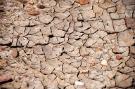 Impulsan en la UACH proyecto para restaurar suelos degradados en el desierto chihuahuense